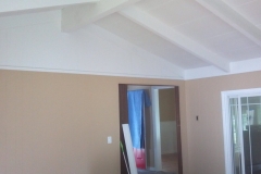 The-Paint-Butler-Columbus-Ohio-Interior-Painting-001